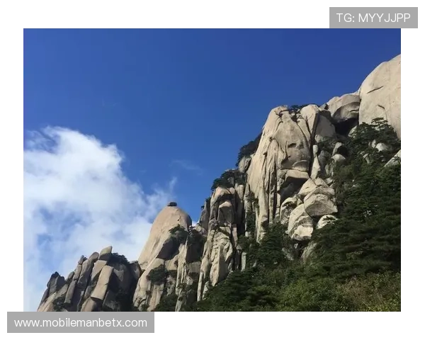 万博manbetx手机在线登录优惠活动不断，享受丰富奖励提升您的博彩体验